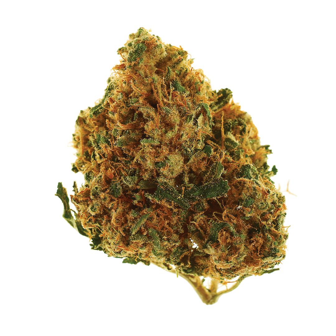 Silver peak chemdawg 0361 hjc1g0
