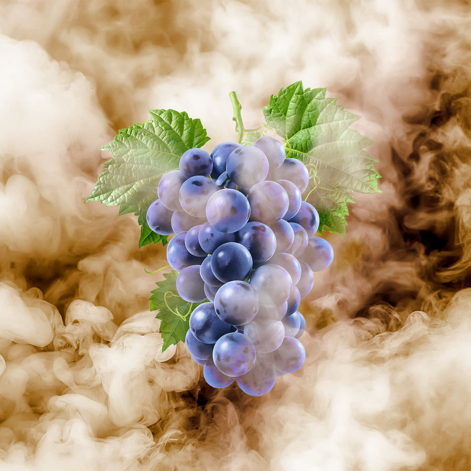 Wine Taste Like Cigars? New Coatings May Save Grapes from Smoke