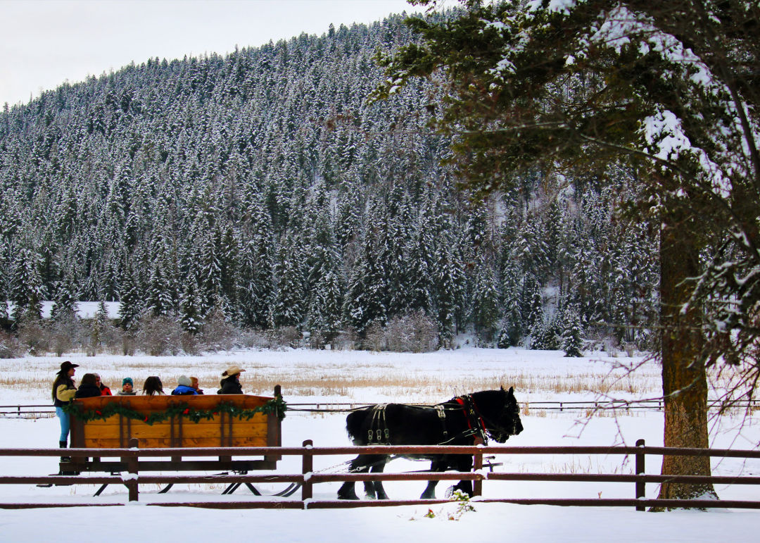 Copy of whitefish sleighride fwhmuk