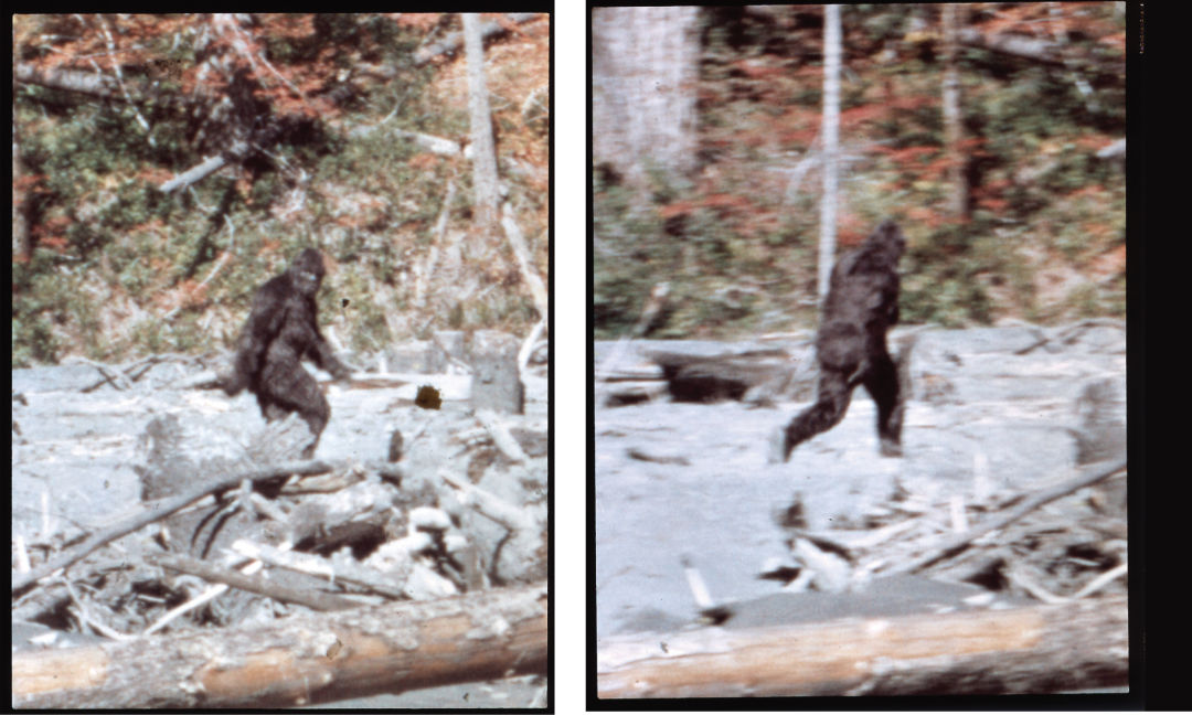 Calling all Patterson Gimlin Film Skeptics: Prove that Patty is a