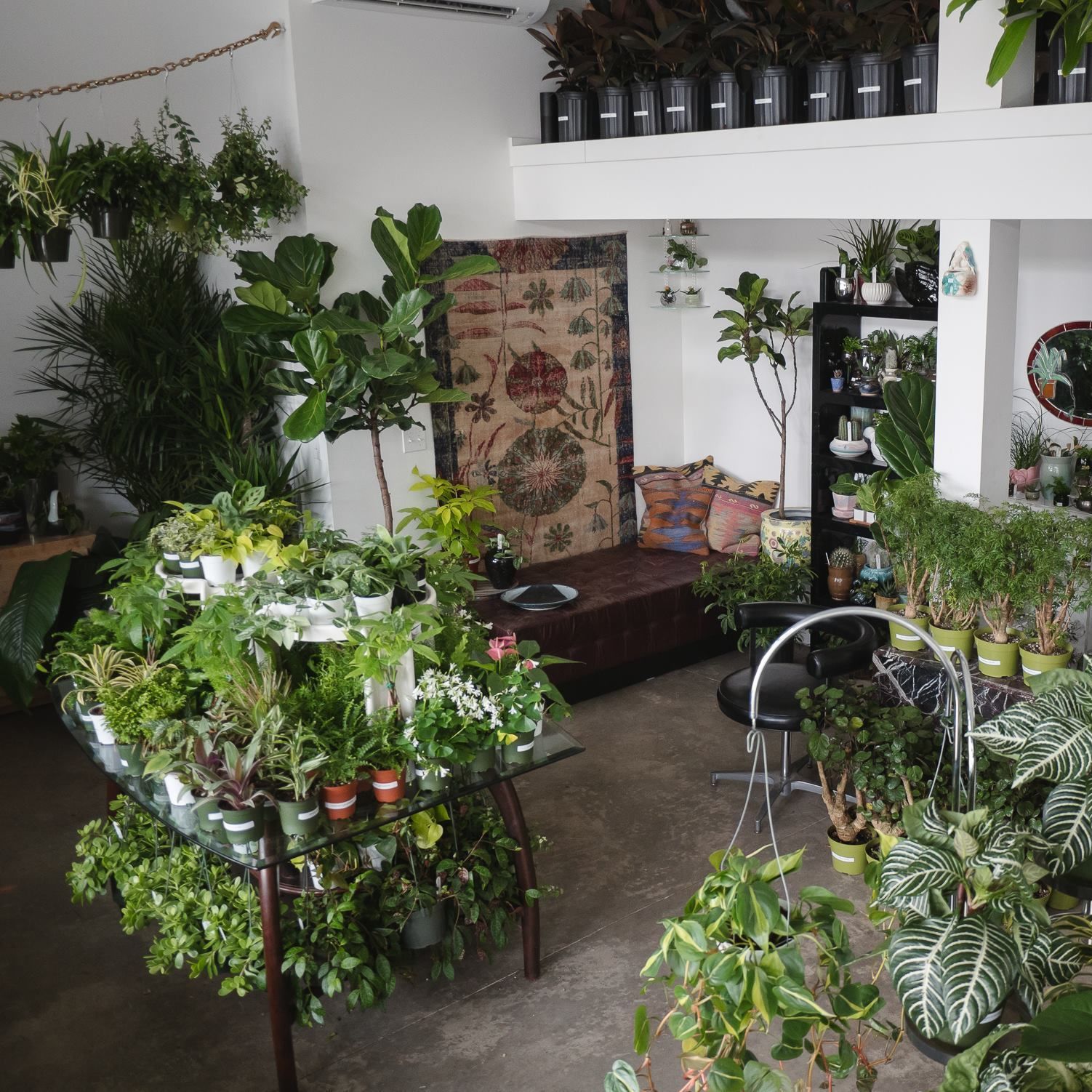 Homestead Plant Shop Is Now Open in the Central District Shopping