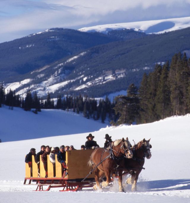 Cosu winter 2012 family sleigh rides bmrise