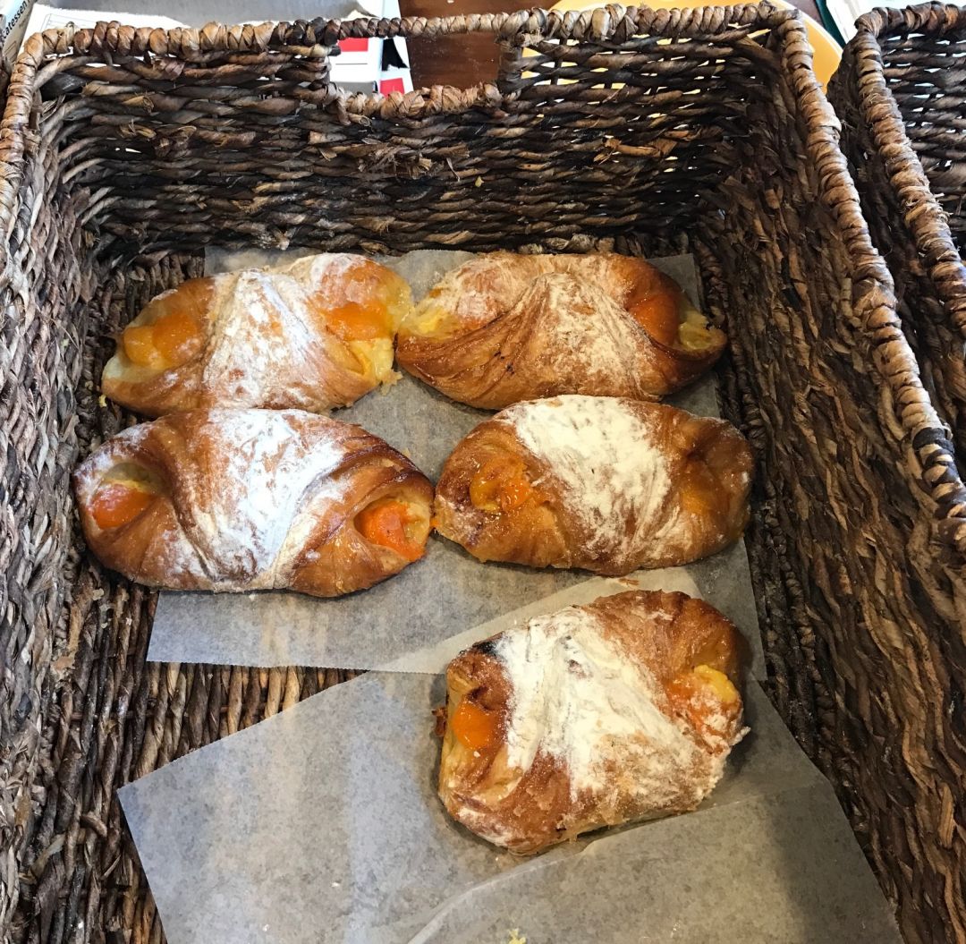 Apricot croissant enznkt