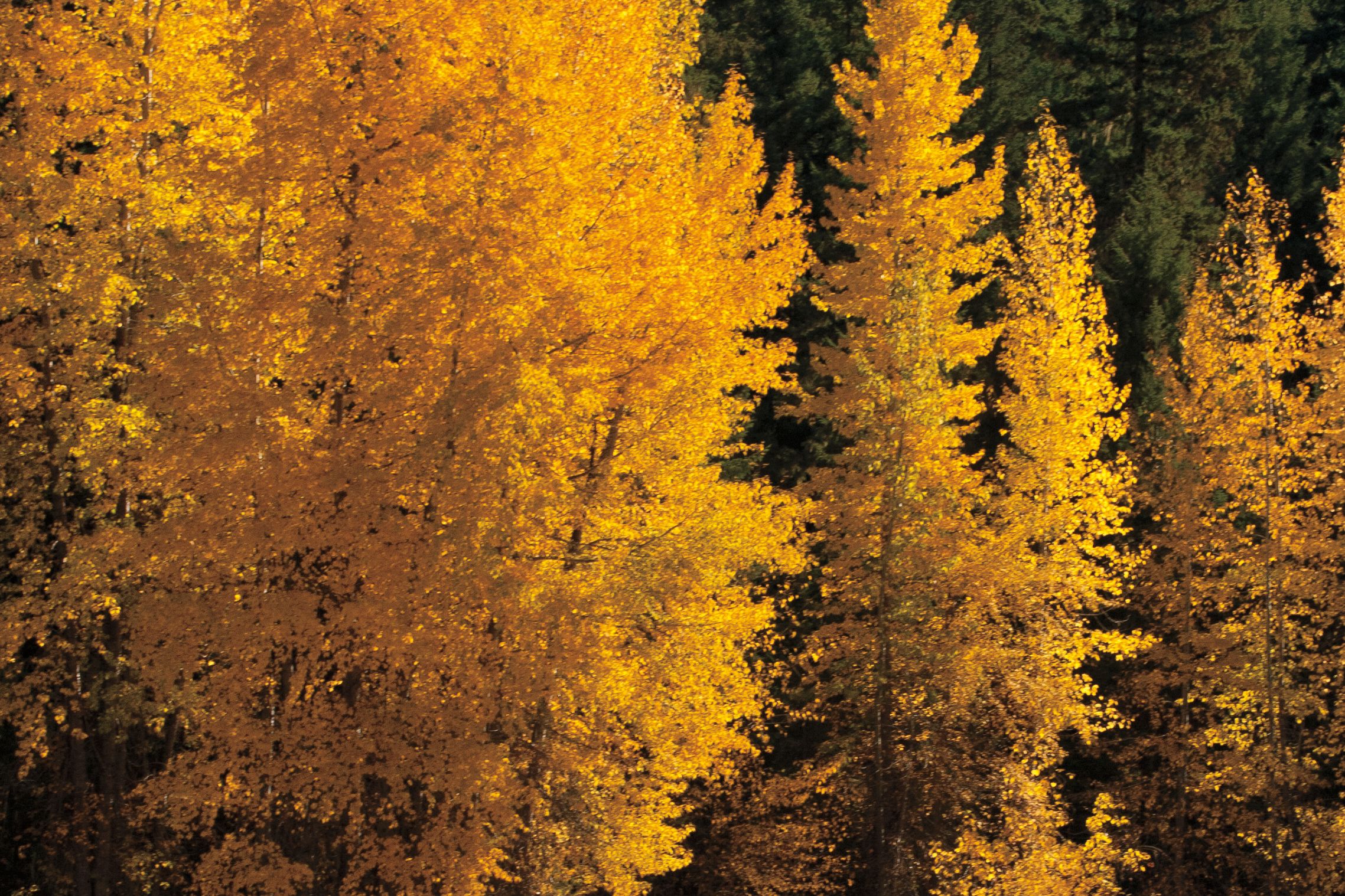 30 Perfect Day Trips | Seattle Met