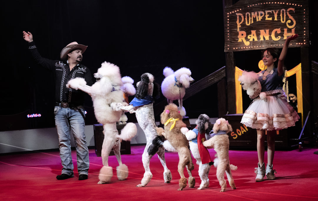 Floopaloo 🎪 Summer Circus (S01E06) Full episode HD