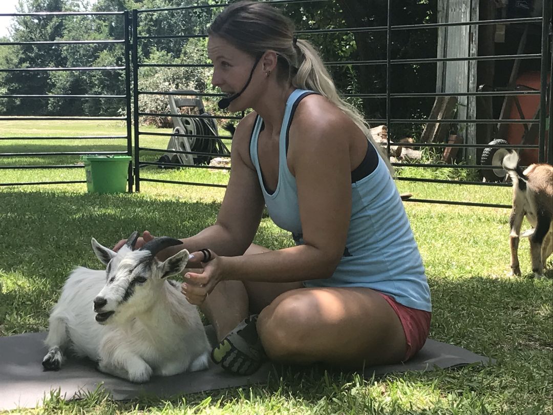 4 Things I Learned At Goat Yoga Houstonia