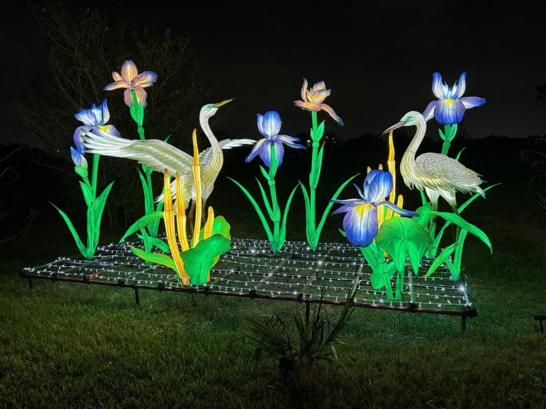 Lit lanterns in the shape of cranes and blue-purple irises.