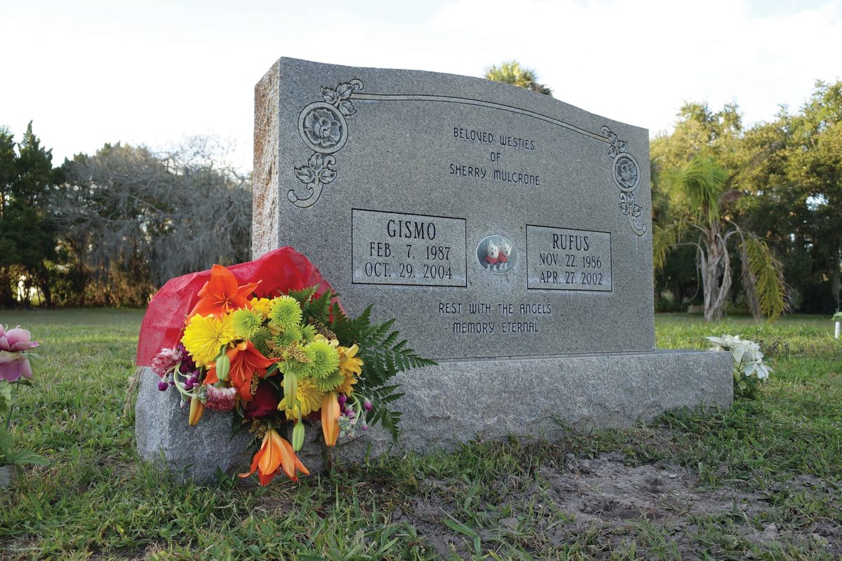 The Sweet Sadness Of Manatee County S Companions Pet Cemetery