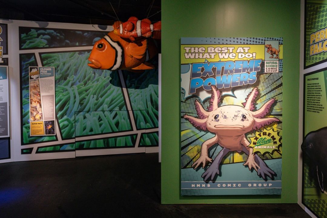 A museum exhibition that looks like a comic book, with an axolotl and a clownfish drawn on the wall.