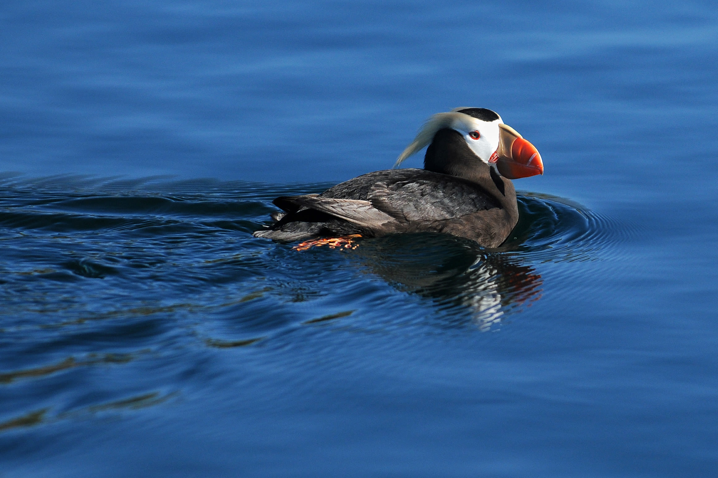 oregon coast travel events