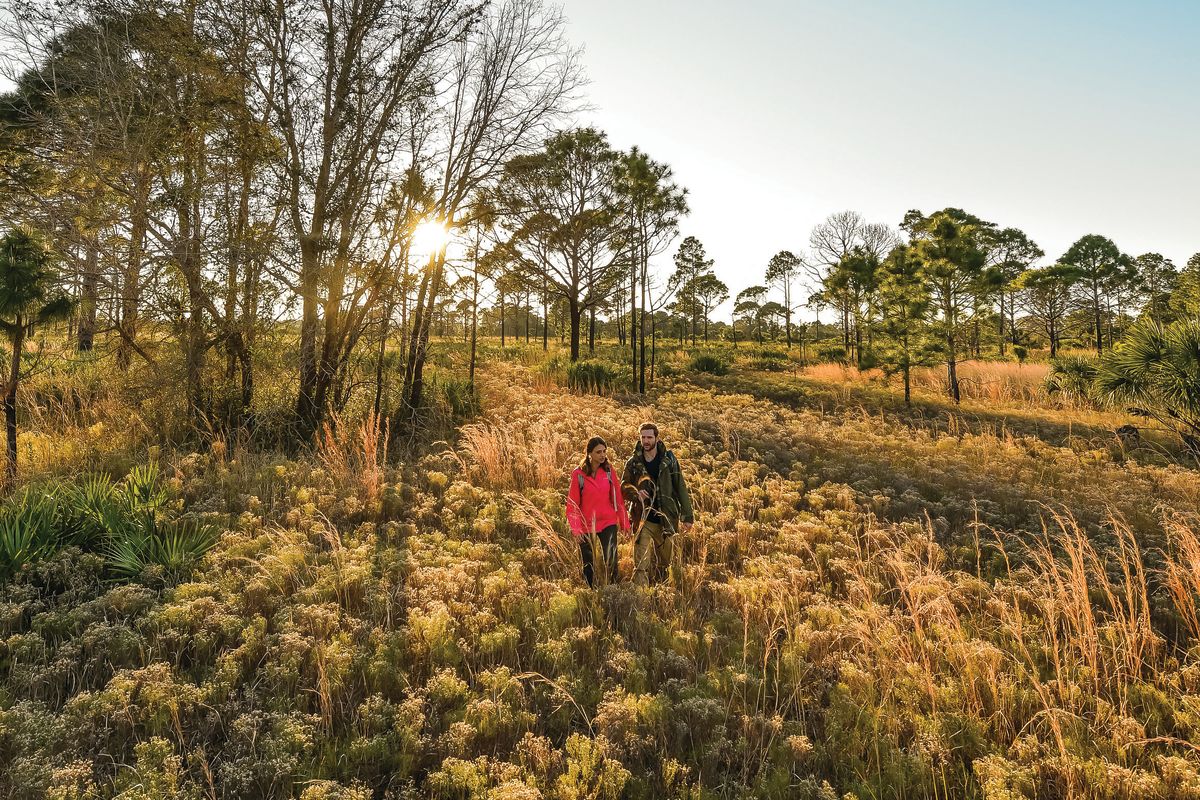5 Hiking Adventures for Every Level Sarasota Magazine