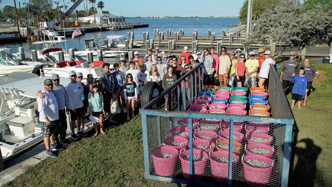 Sarasota Bay Watch volunteers releasing clam at the bay in March 2022