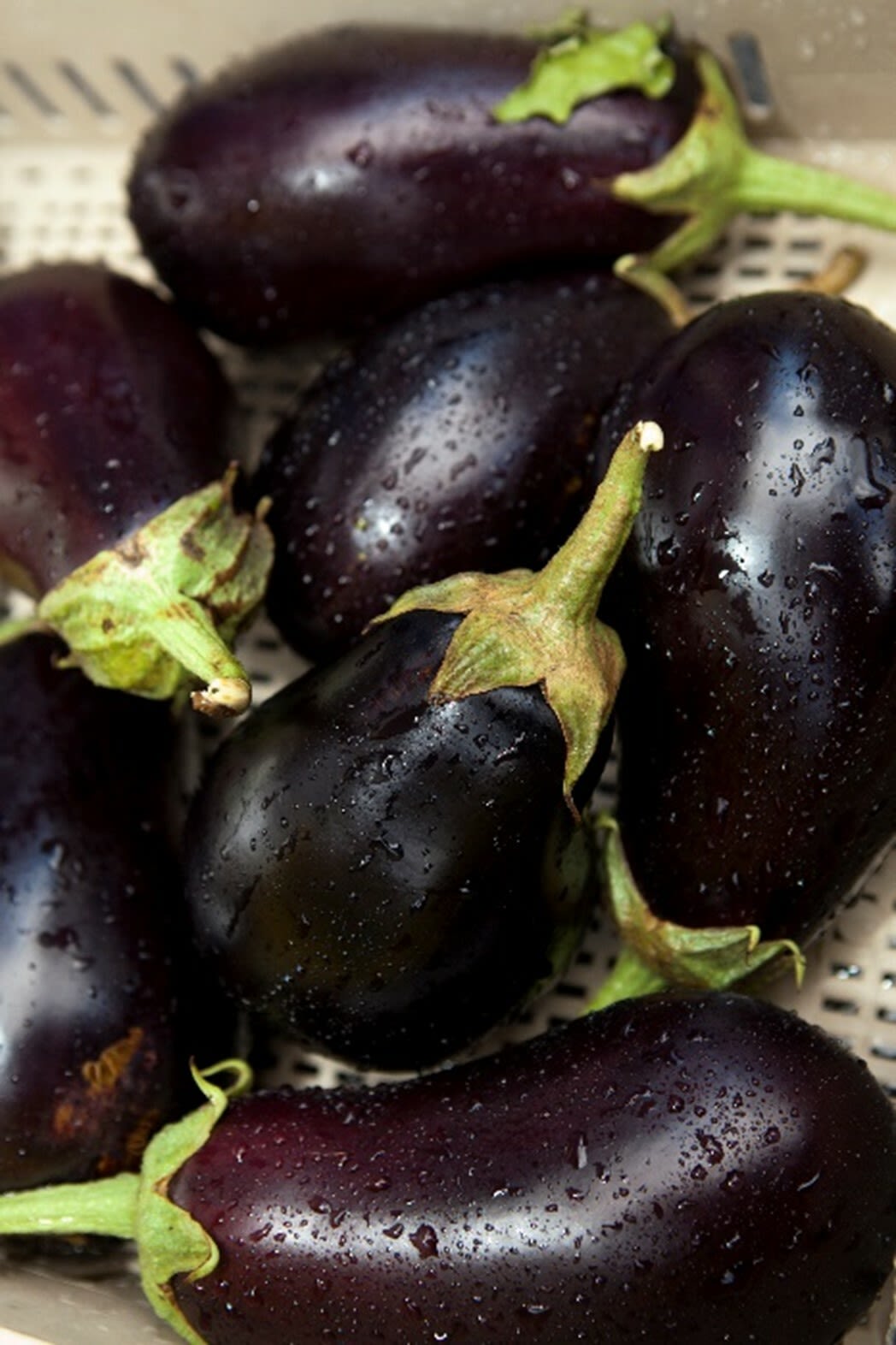 Several eggplants