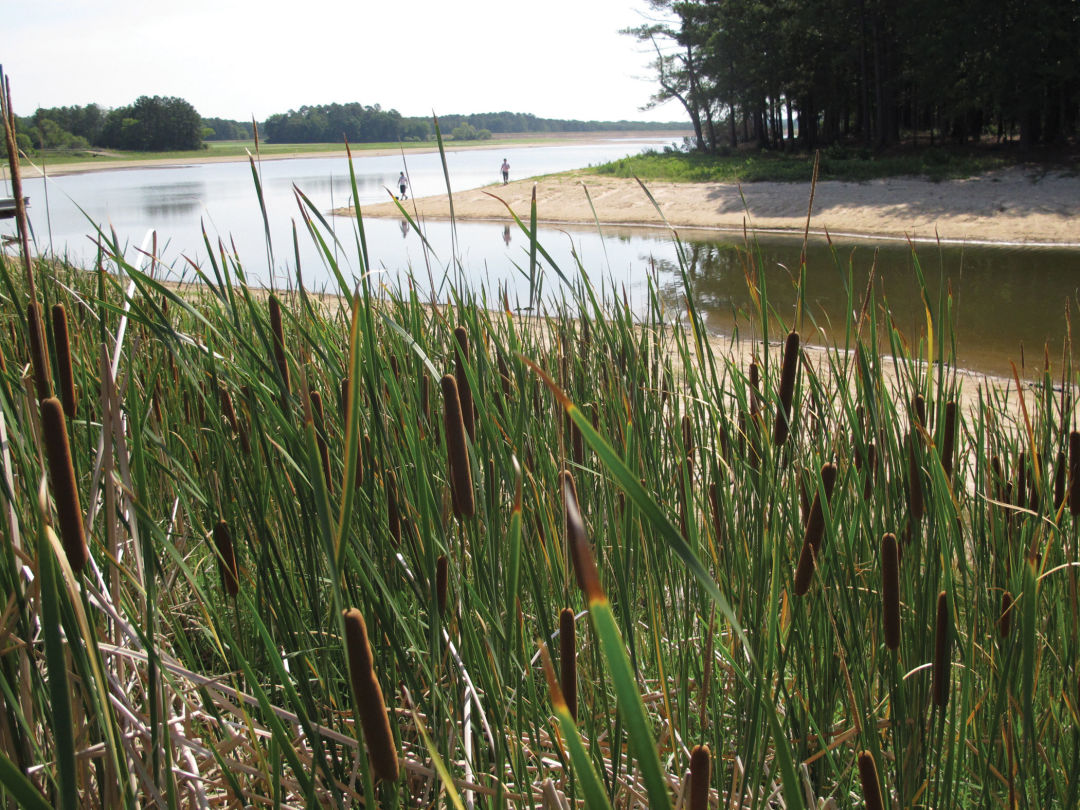 Martincreek k061gc
