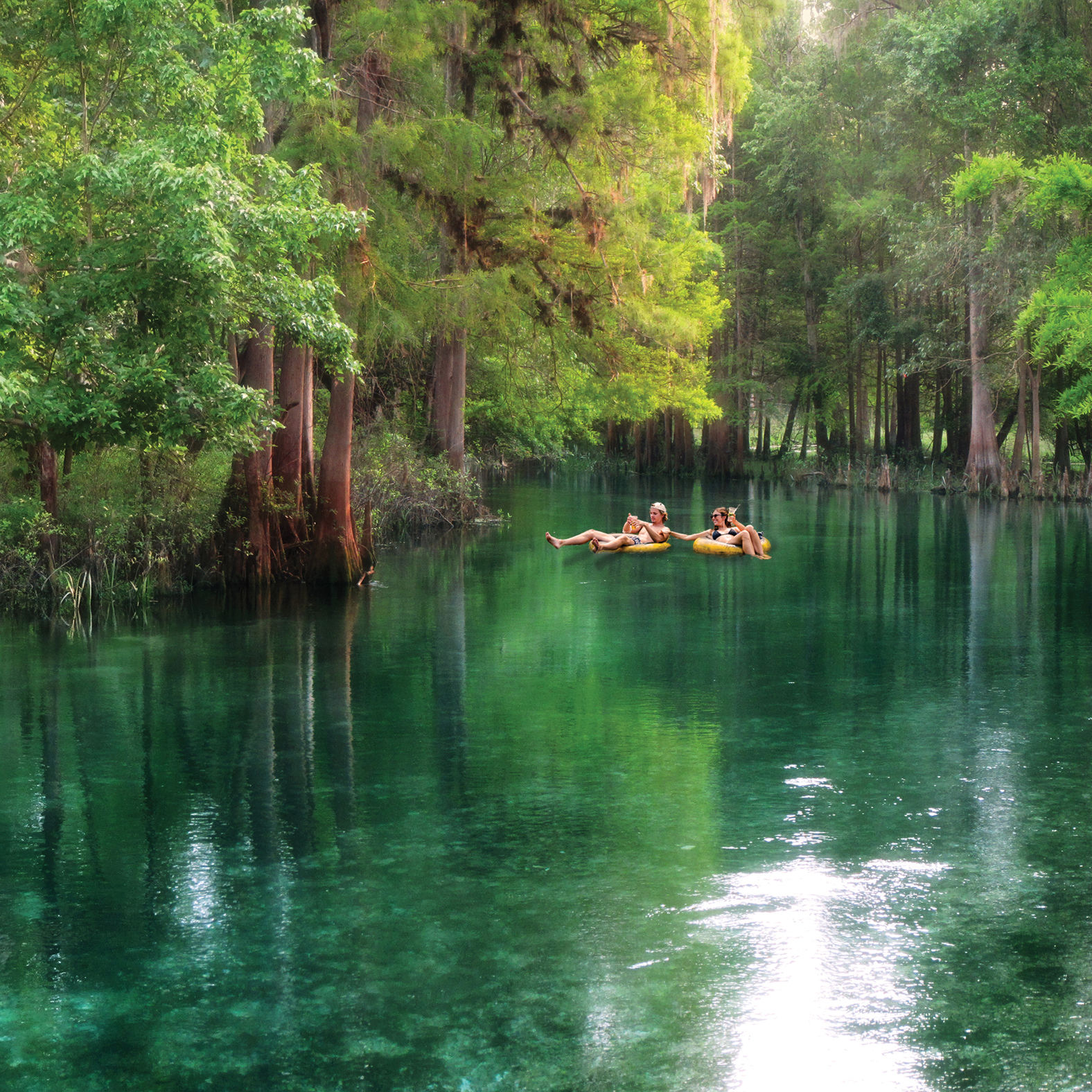 florida springs tour