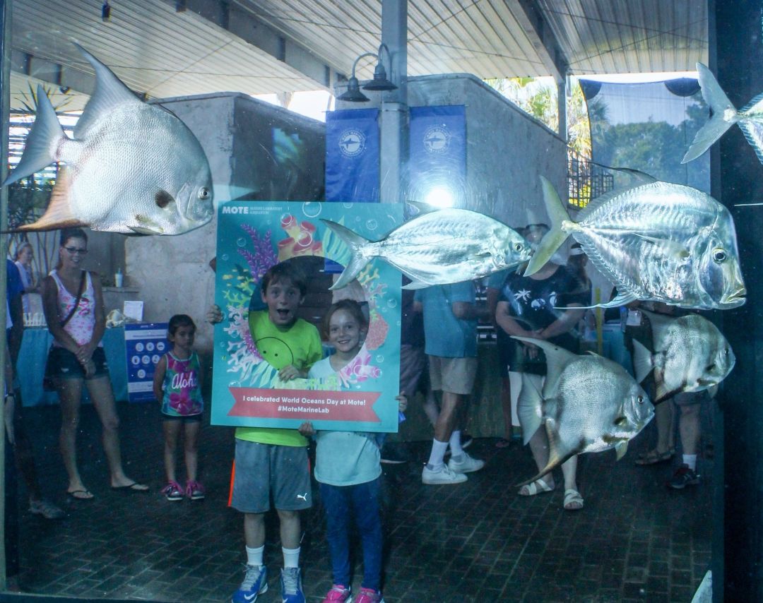 Kids at 2016 world oceans day  credit mote marine lab jp8ttb