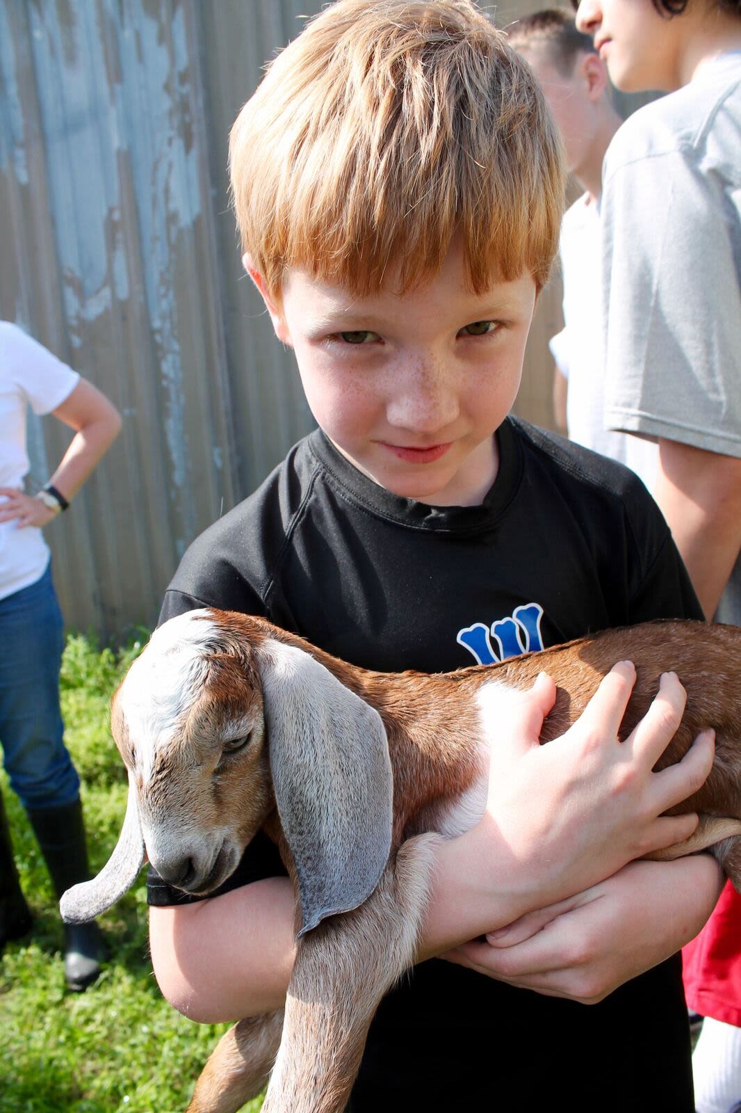Goatkid2 wliaok