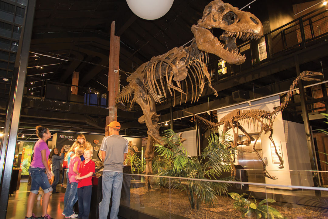 Houston museum of natural science at sugar land i5il6k