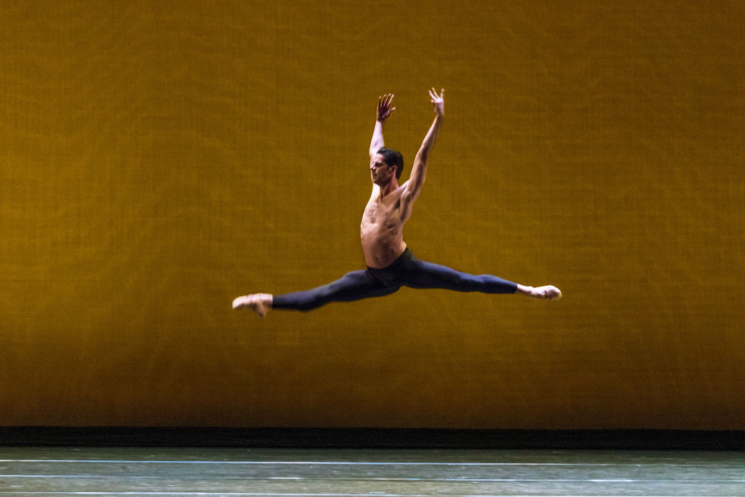 Marcelo gomes photo by vutti photography ak3xlz
