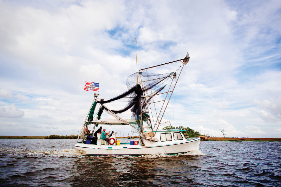 South Louisiana Salt Marsh Fishing - Realest Nature