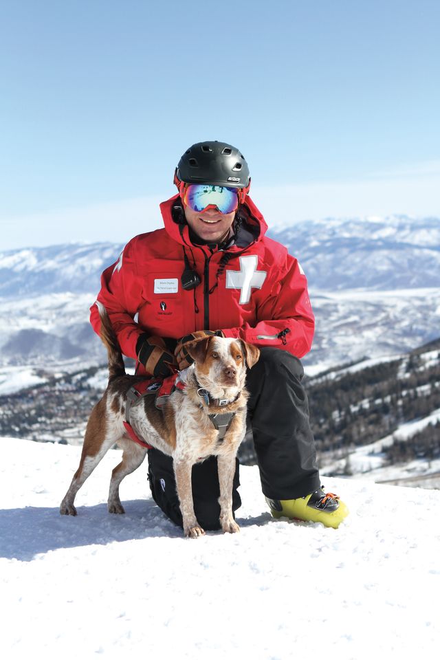 Lb 2016.02.26 avidogs086 hhyipd
