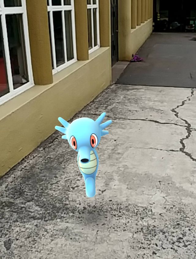 Horsea lunamu
