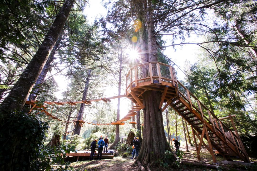 Salishan Coastal Lodge Aerial Park