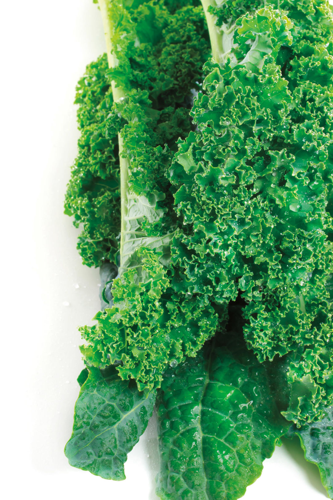 0713 new leaf kale vhp8f6