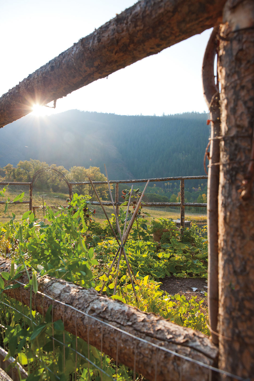 0713 nuture nature fence fyonhb