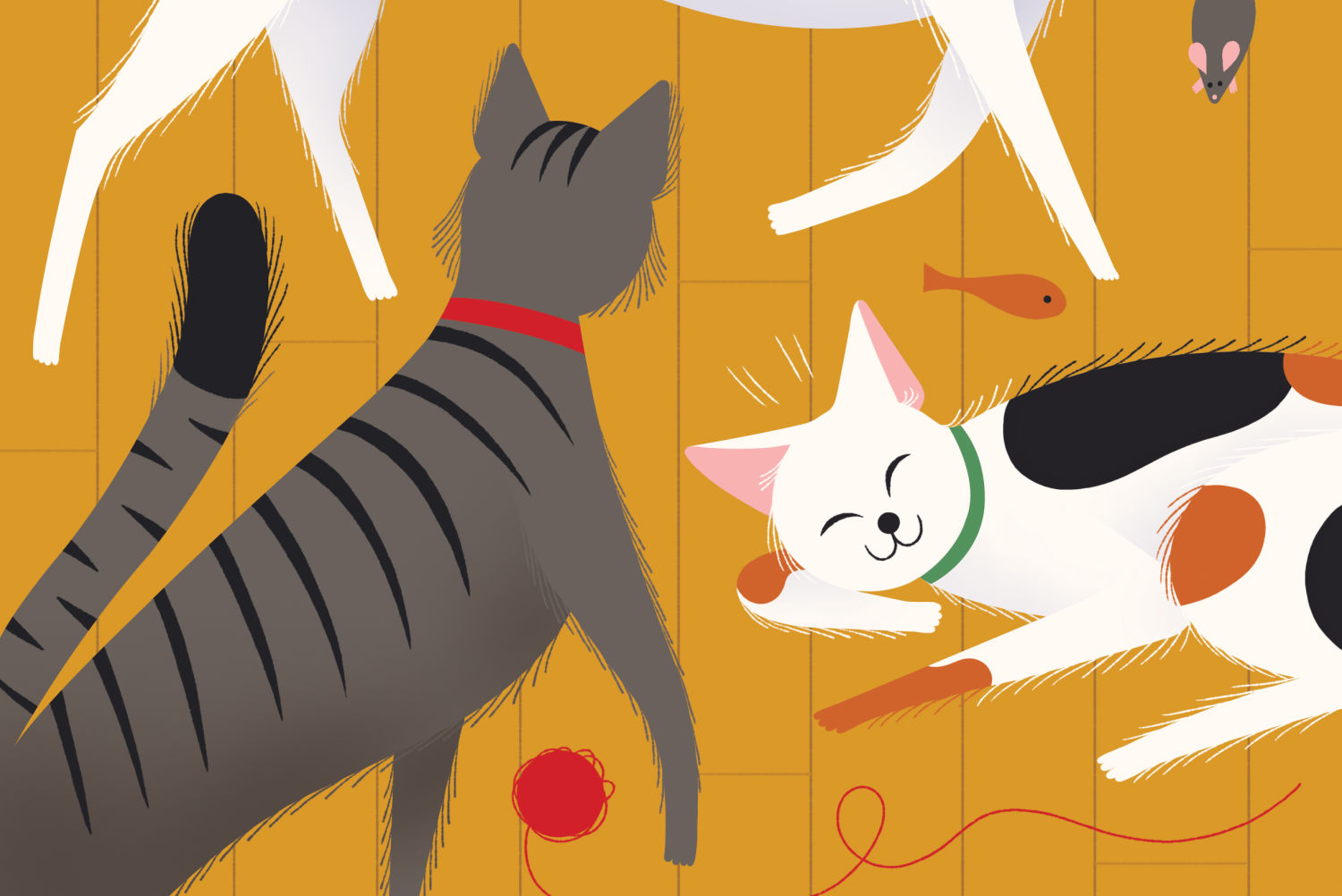 Portland S Dog Training Experts Are Divided Into Dueling Camps