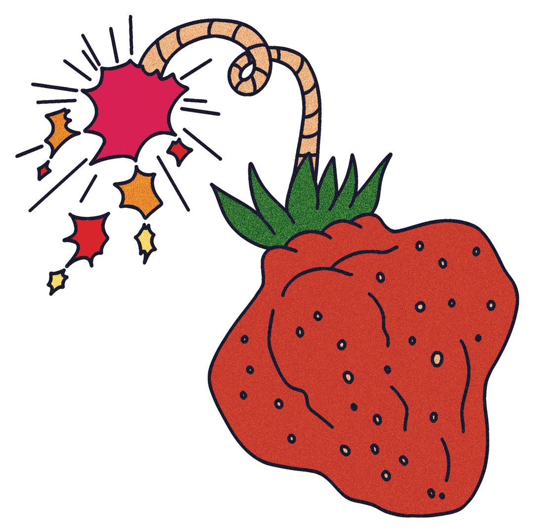 shuksan-strawberry-fruit-spring_qzr3p6 The Best Oregon Strawberry Varieties for U-Pick