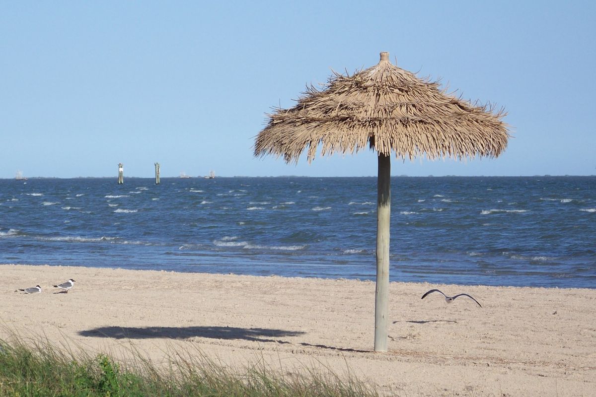 Texas Rockport Beach Houstonia