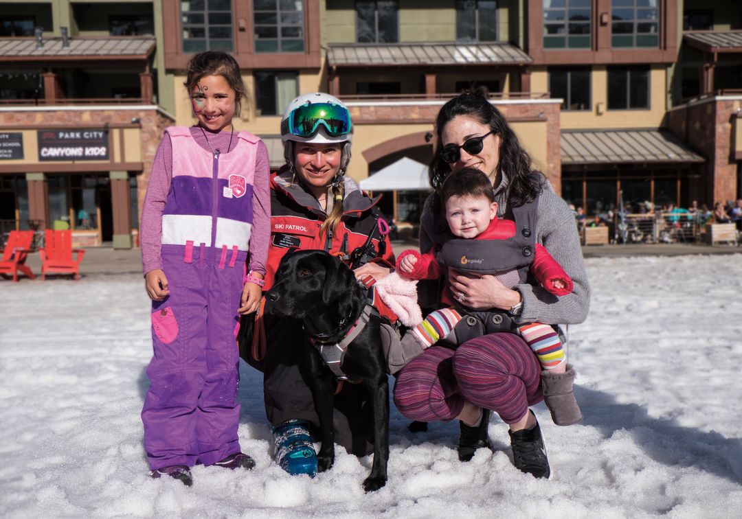 Avalanche dogs f4325 ftvo5v