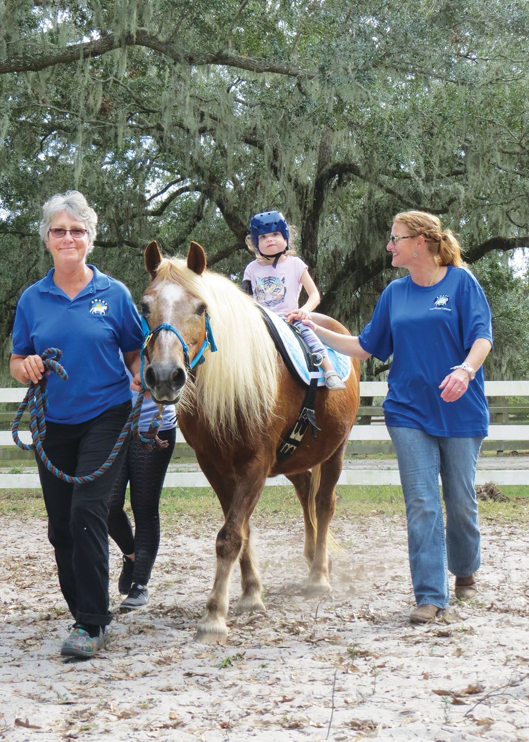 horse riding clothing near me