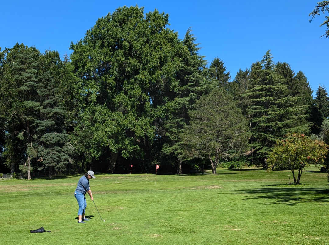 New Operator Takes Over Inexperienced Lake’s Pitch & Putt 1 greenwood pitch put golf g8qwyz