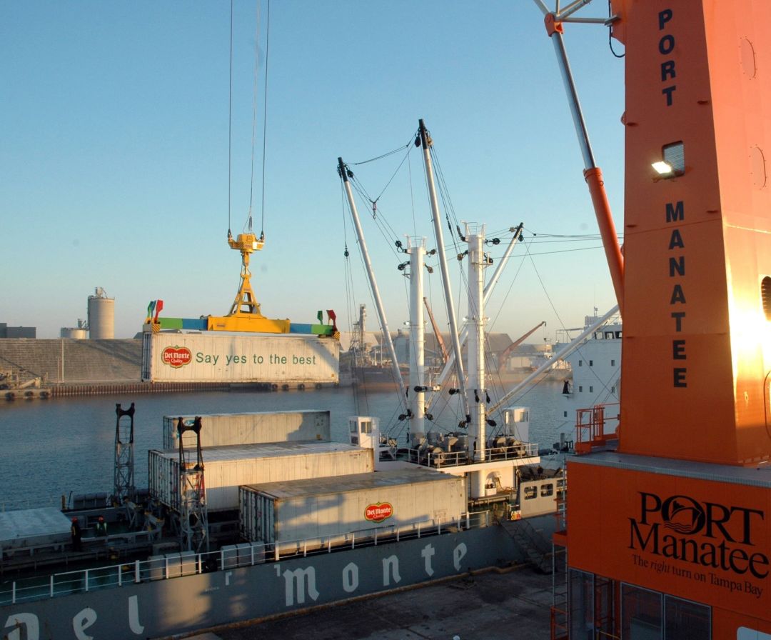 Port manatee gvunis