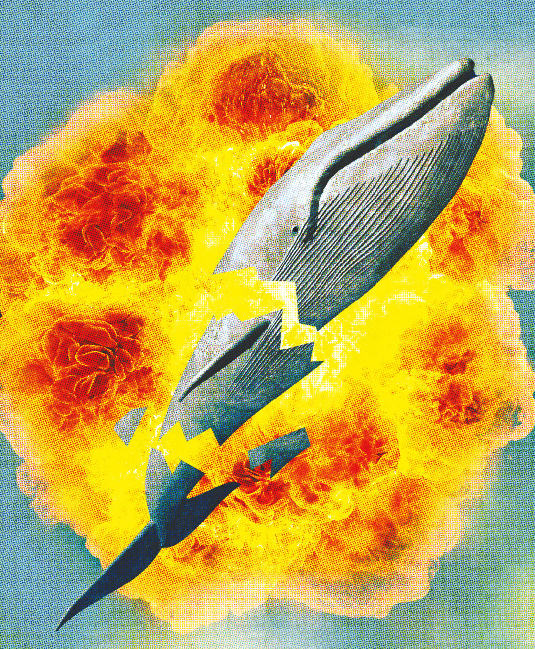 Pomo 1216 pop exploding whale wkkig8