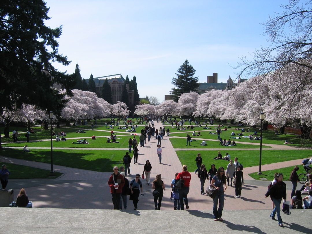 5 Things to Know About the University of Washington Master Plan | Seattle  Met