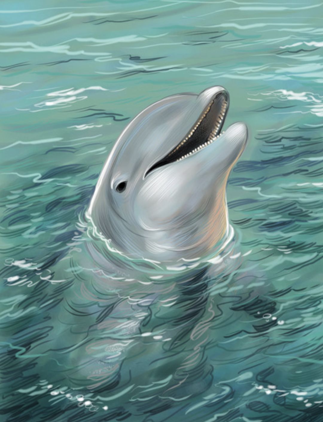 Bill would make bottlenose dolphin official North Carolina marine