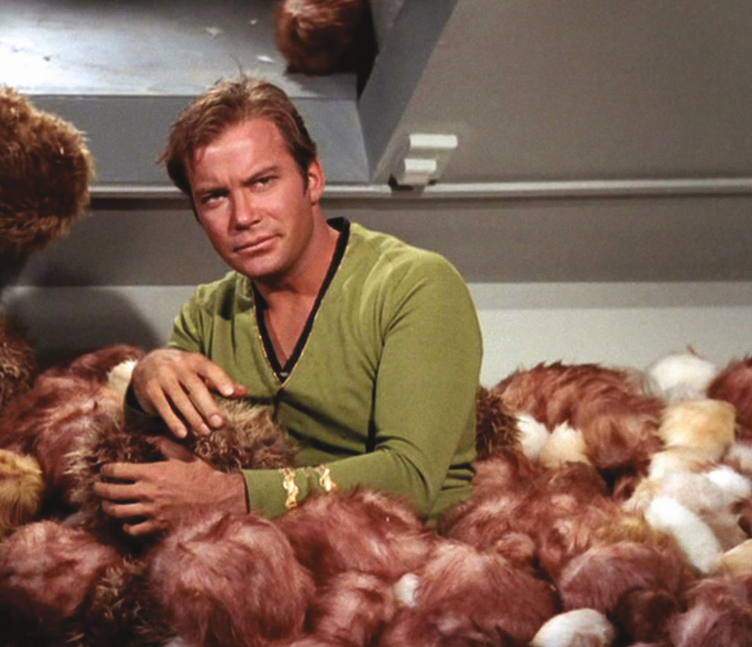 1217 mudroom trek tech emuiaf