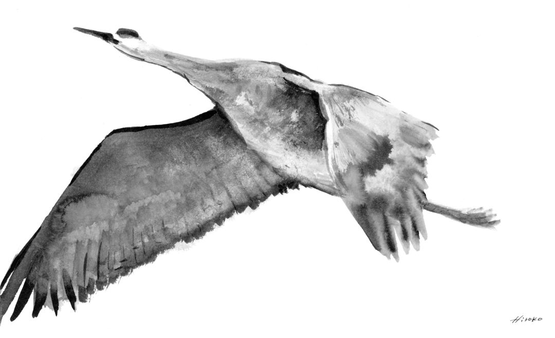 96 Sandhill Crane Hiroko Seki hucrlz