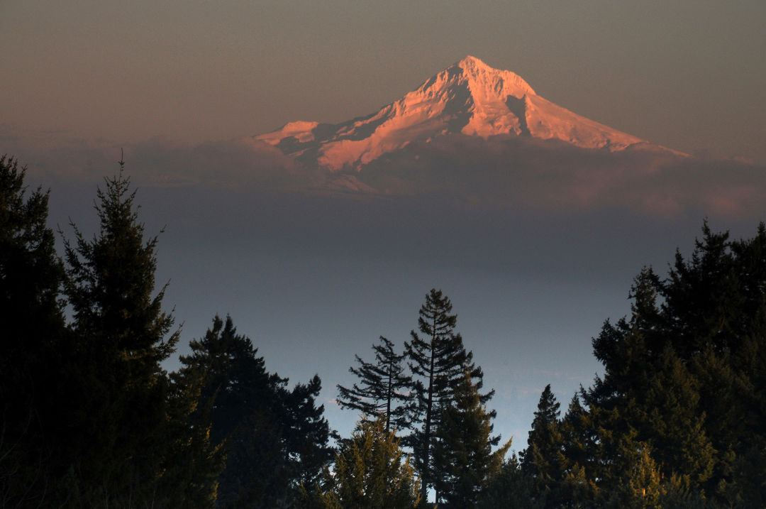 council-crest-mt-hood-view-50-best_1285133668_ngj5f4 Your Quintessential Portland Bucket List: 50 Things to Do in Town