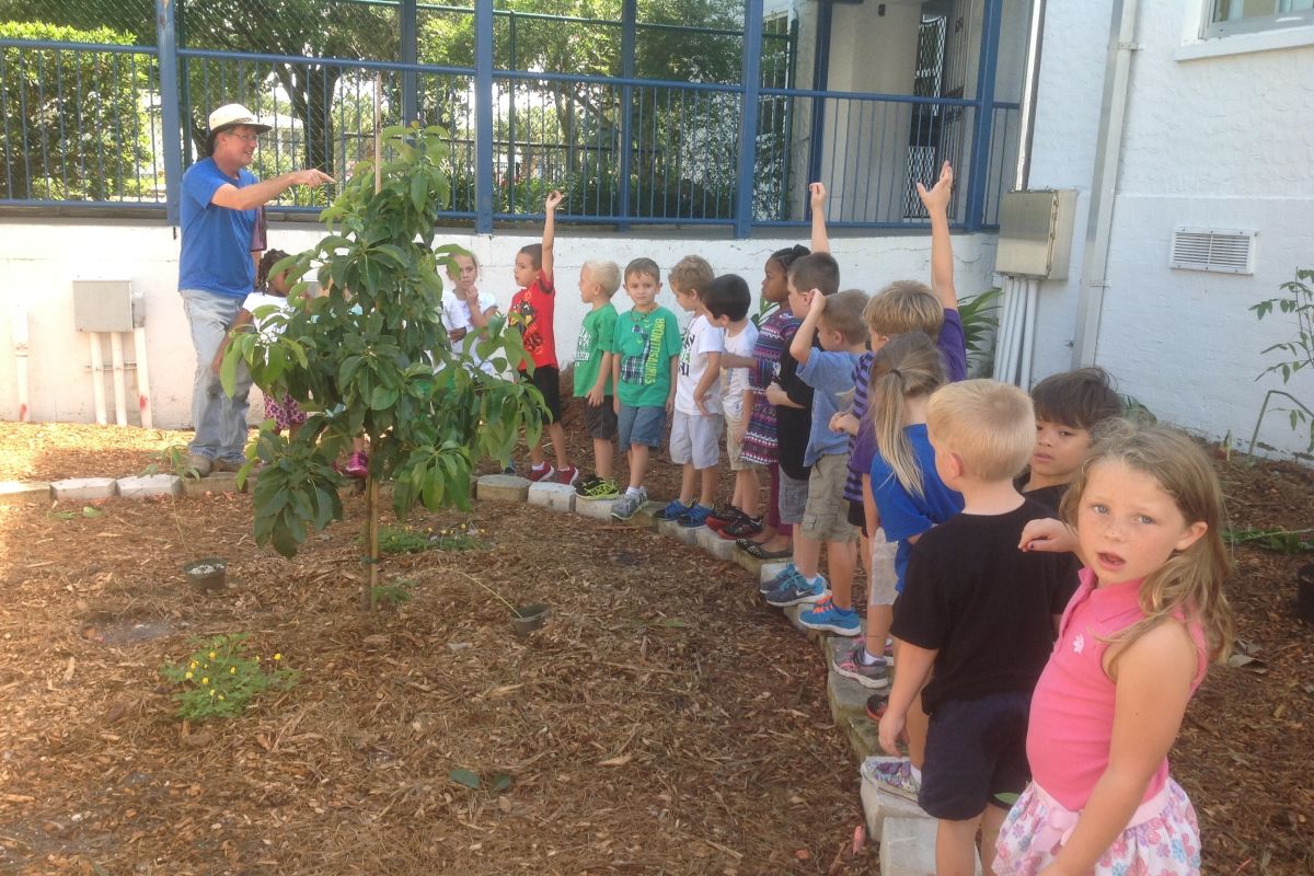 An Unused Plot of Land Becomes a Thriving Food Forest at Bay Haven School of Basics Plus - Sarasota