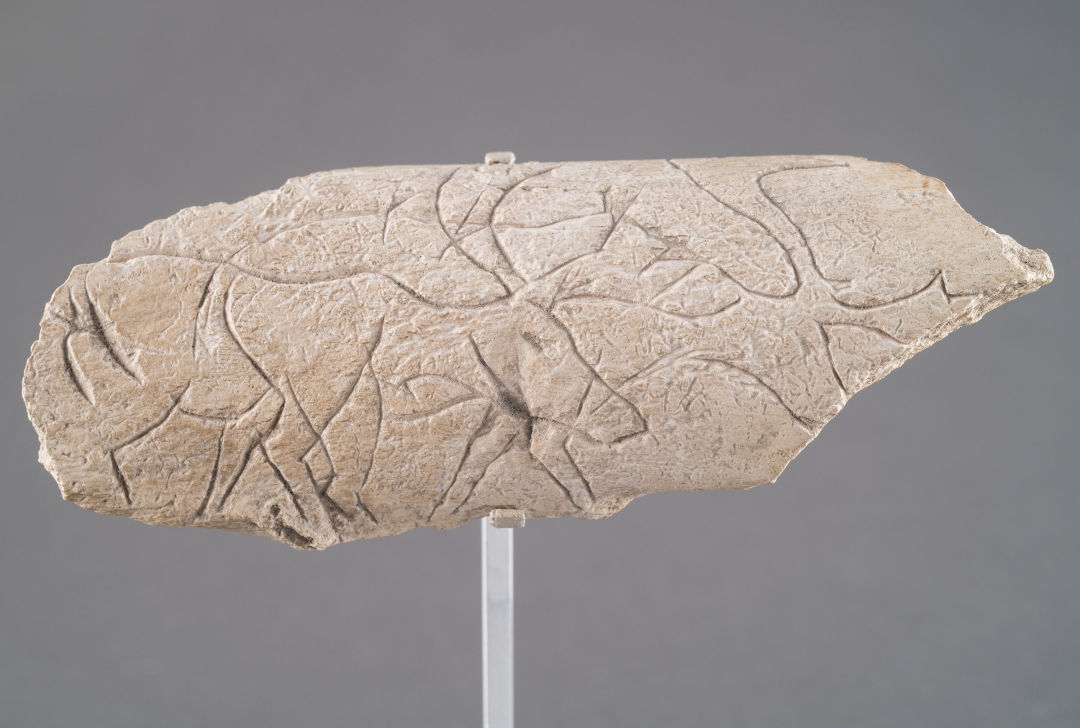 Engraved bone fragment