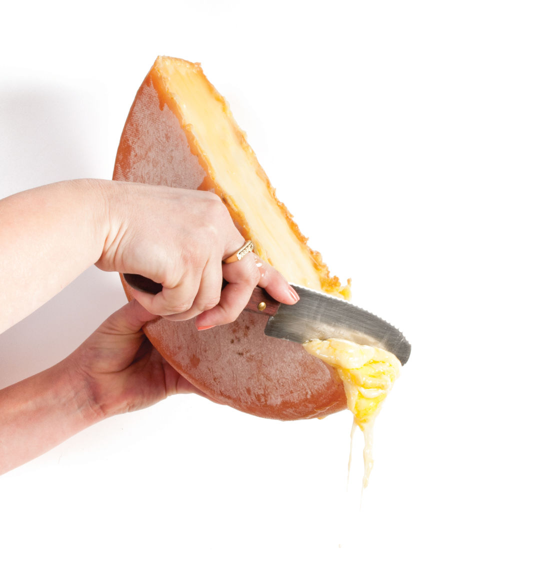 Cheese saramariedeugenio xplxdh