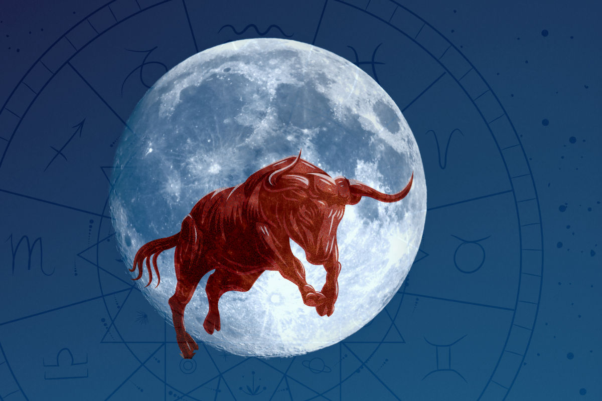 How Tonight's Full Moon in Taurus Will Affect Your Star Sign Sarasota