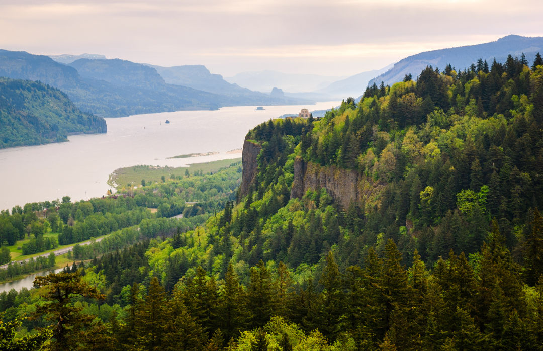 Shutterstockzack frank vatrpt