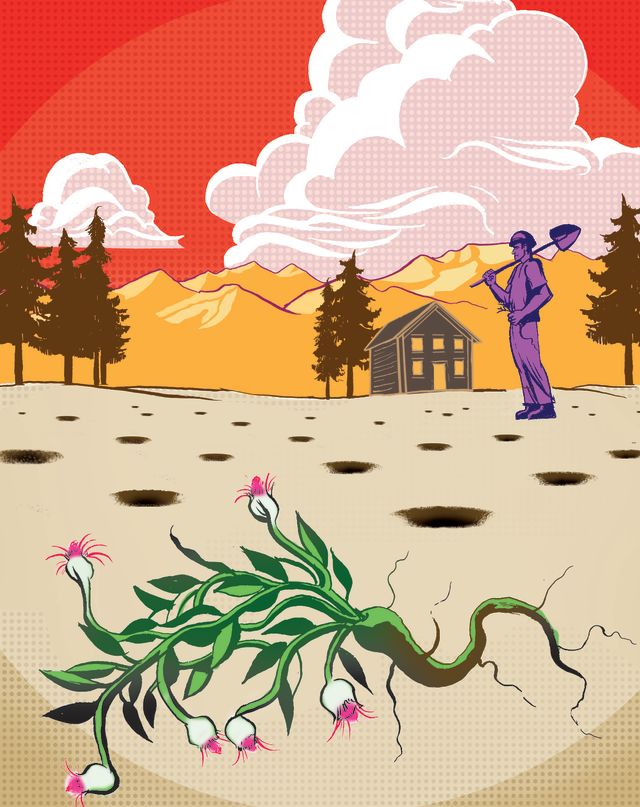 Cosu summer 2012 view from the summit weed killer illustration navu5v