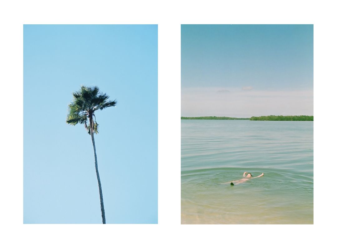 Acs audra locicero photo diptych lr mz9vjb