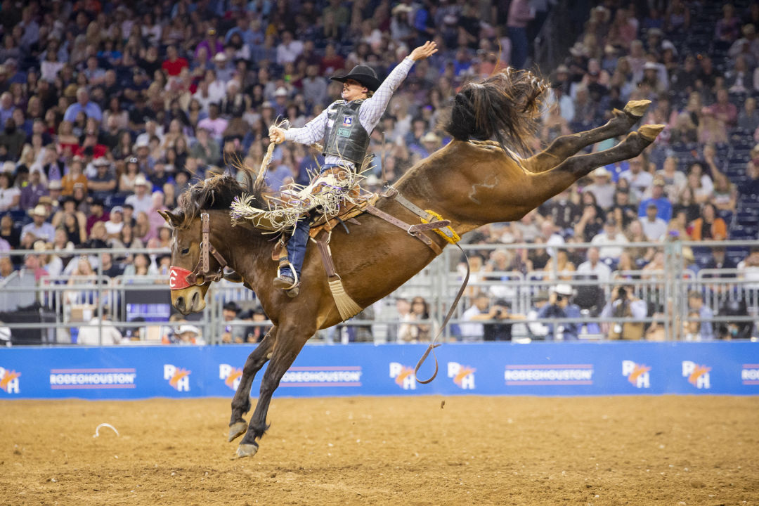 Houston Livestock Show and Rodeo Kicks Off This Week Houstonia Magazine